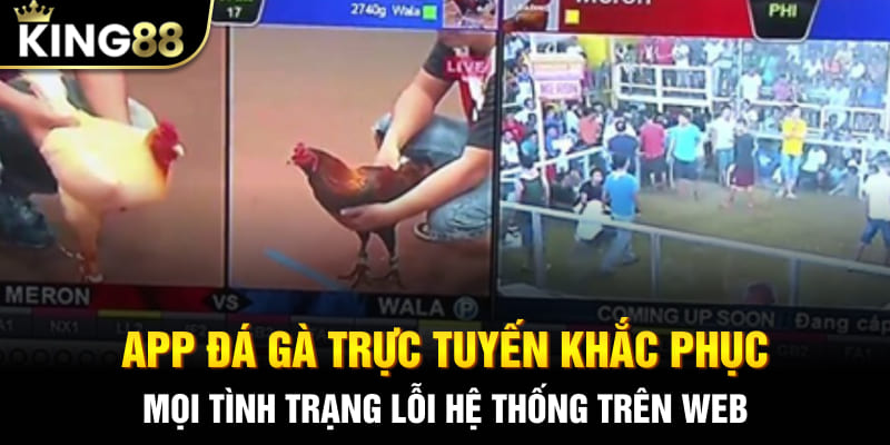 App đá gà trực tuyến khắc phục mọi tình trạng lỗi hệ thống trên web