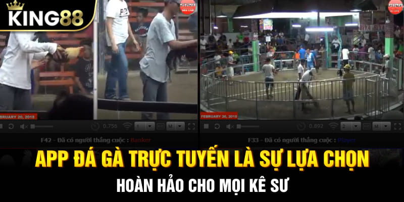 App đá gà trực tuyến là sự lựa chọn hoàn hảo cho mọi kê sư