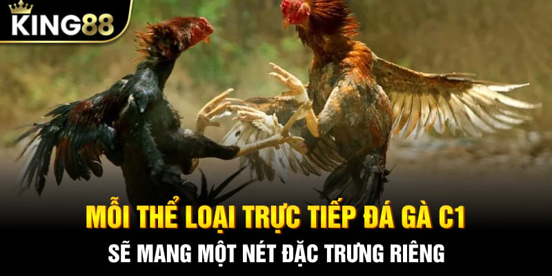 Mỗi thể loại trực tiếp đá gà C1 sẽ mang một nét đặc trưng riêng