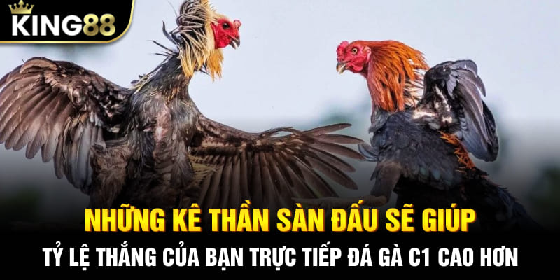 Những kê thần sàn đấu sẽ giúp tỷ lệ thắng của bạn trực tiếp đá gà C1 cao hơn