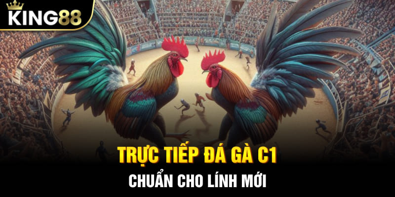 Trực Tiếp Đá Gà C1 - Chân Thực Từng Cú Đá Chỉ Có Tại King88